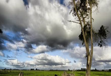 意甲球队备战欧冠赛场，期待出色表现