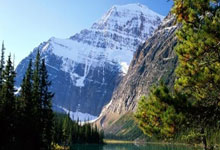 塞尔维亚队全力备战，欧洲杯资格前途未卜