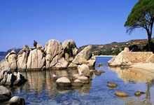 桑普多利亚后卫成功手术将缺阵数周